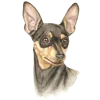 🐕