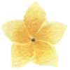 🌼