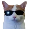 😎