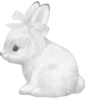 🐰