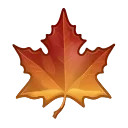 🍁