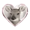 🦌