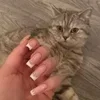 🌟