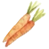🥕
