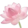 🌸