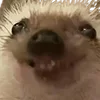 🤭
