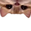🥺