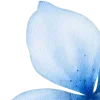 💙