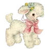 🐑