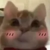 ☺️