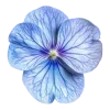 ♾