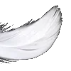 ⭐