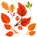 🍁