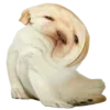 🥴