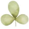 🍀