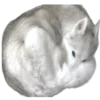 🌬️