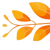 🍁