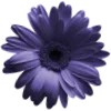 💐