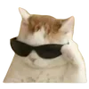 😎