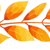 🍁