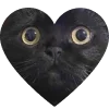 🐈‍⬛
