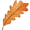 🍂