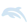 🐬