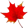 🍁