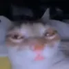 😾