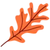 🍁