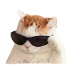 😎