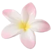 🌸