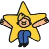🌟