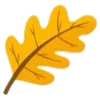 🍂