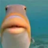 🐠