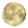 🌝
