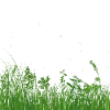 🌱