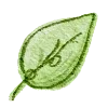 🍃