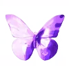 🦋
