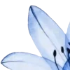 💙