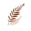 🍂