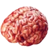 🧠