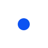 🔹