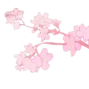 🤩