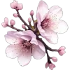 🌸
