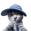 🧢