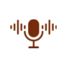 🎤