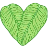 💚