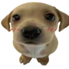 doggies — Telegram emoji pack