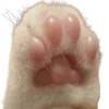 🐾